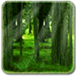 Logo of RealDepth Forest Free Live Wallpaper android Application 